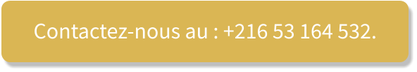 Contactez-nous au : +216 53 164 532.
