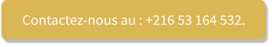 Contactez-nous au : +216 53 164 532.